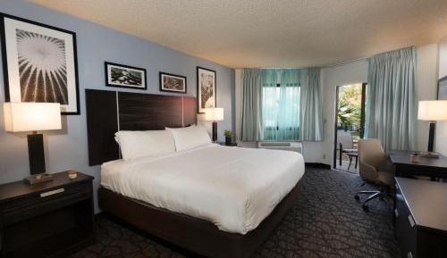 Deluxe King Room with Patio - Non-Smoking