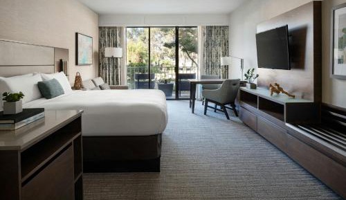 King Room with Sofa Bed and Resort View - Hearing Accessible