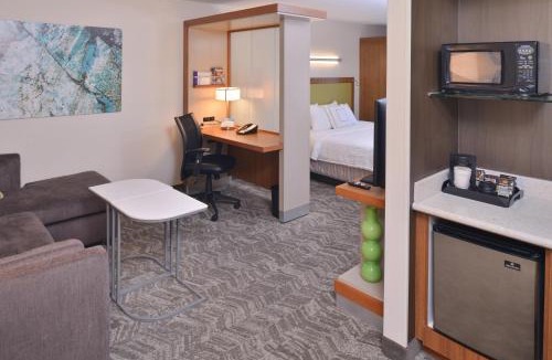 Green Valley Hotel | SpringHill Suites Las Vegas Henderson