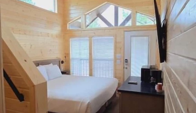 Luxury Cabin with Mountain View 4A