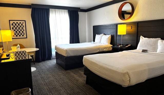 Premium Strip View Queen |Vegas